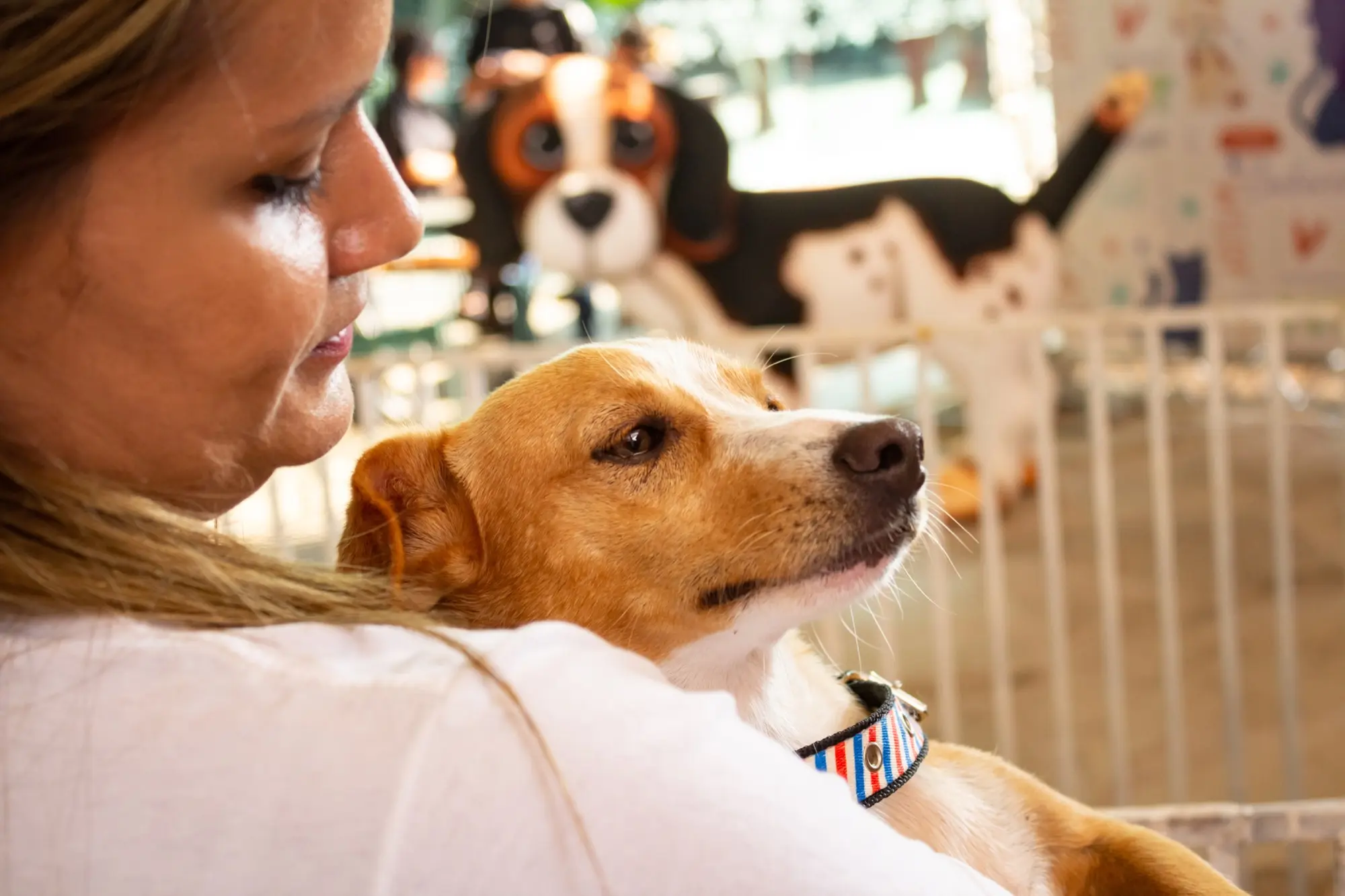 Compassionate mother caring for animals