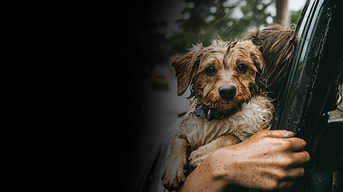 Mother and child with rescued dog